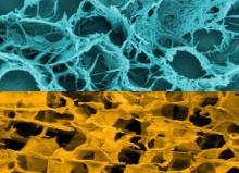 Beyond smectite-based nanocomposites
